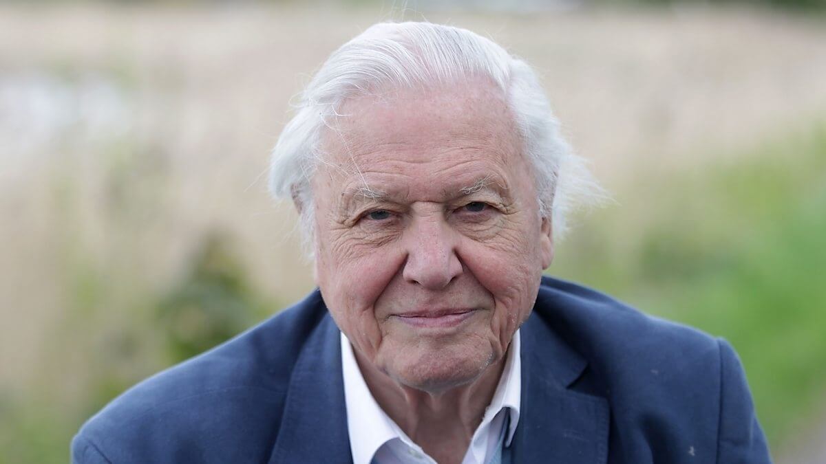 David Attenborough 99. születésnapjára 99 híresség küldött jókívánságokat