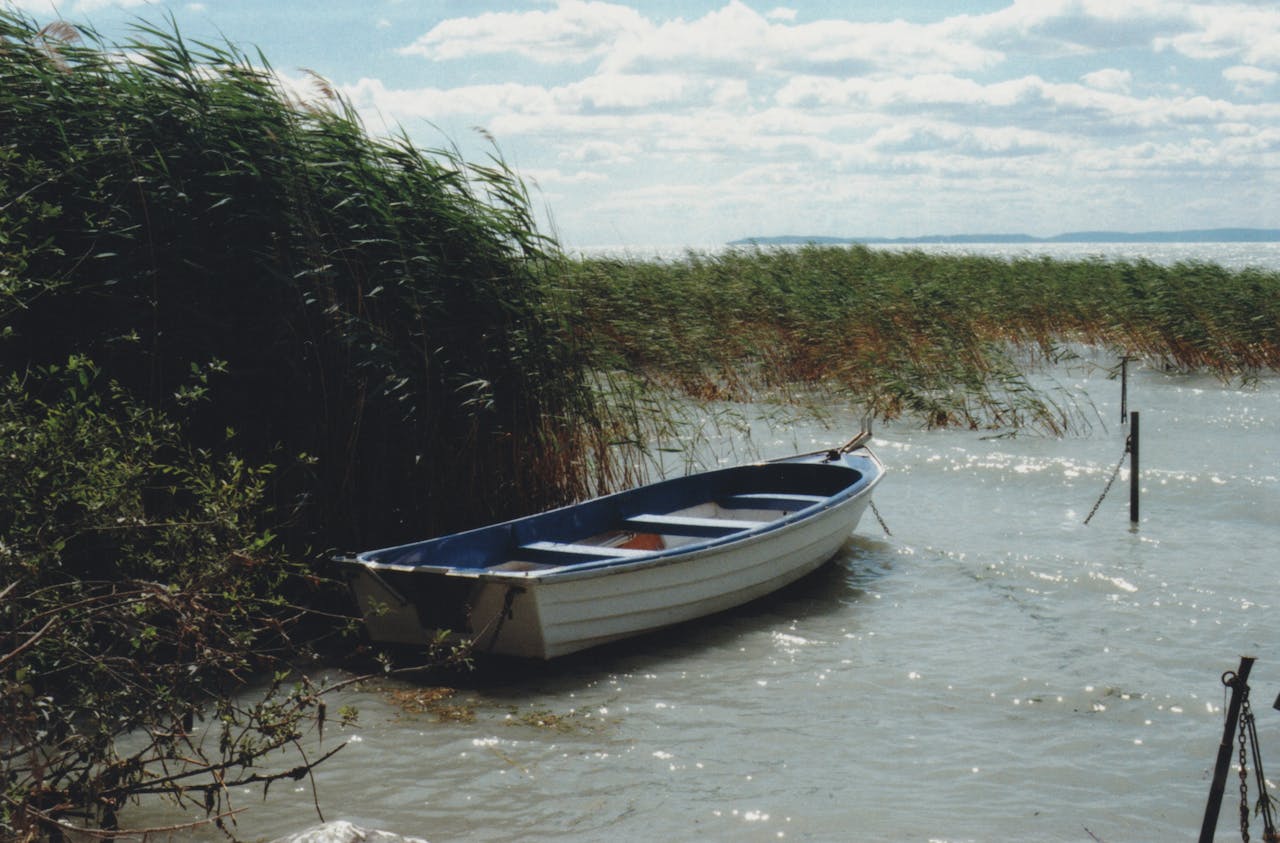 Az aszály okoz vízhiányt a Balaton környéki tógazdaságokban
