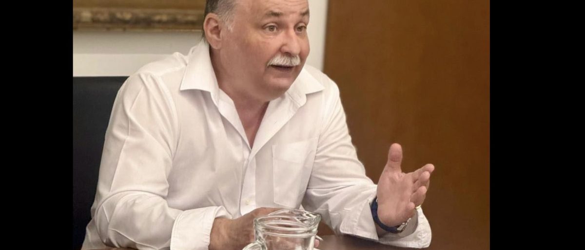 Lejárt a kormány moratóriuma, mégsem engednek újabb fakitermelést a Börzsönyben