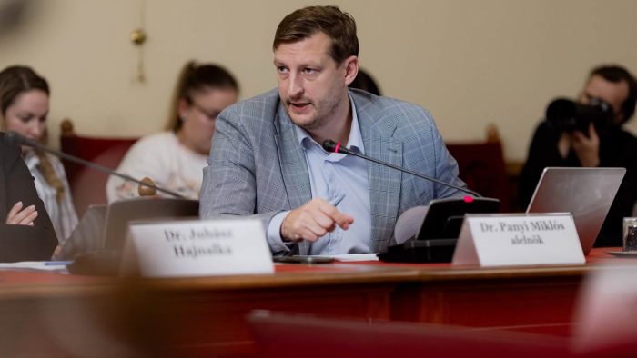 Panyi Miklós mesterséges intelligenciával torzított vértanútablót osztott meg október 6-án